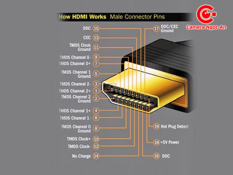 cau-tao-cua-day-hdmi-camerangocan