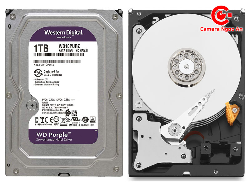 o-cung-thiet-ke-chac-chan-camerangocan